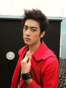 哪些明星承认中国血统,揭秘承认中国血统的明星群像