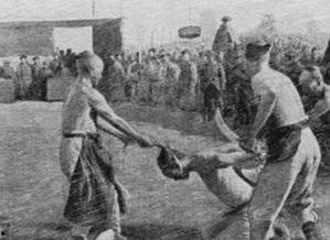 川师大砍头照片,悲剧背后的校园安全警示