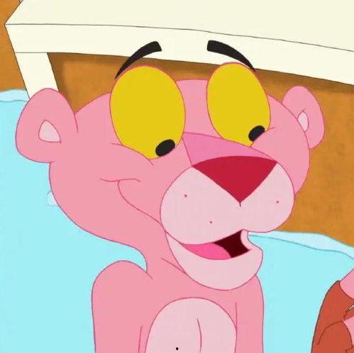 顽皮豹图片,童趣盎然的一刻