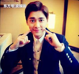 萌明星男,揭秘男生界的魅力之星