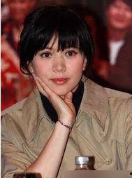 明星 姓包,闪耀娱乐圈的璀璨星辰