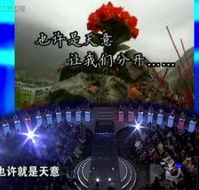 节目中介绍嘉宾背景,探寻名流背后的故事与成就