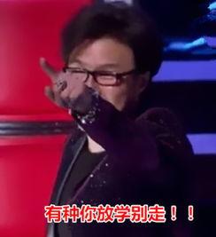 中国好声音汪峰表情包,中国好声音舞台上的“表情帝”